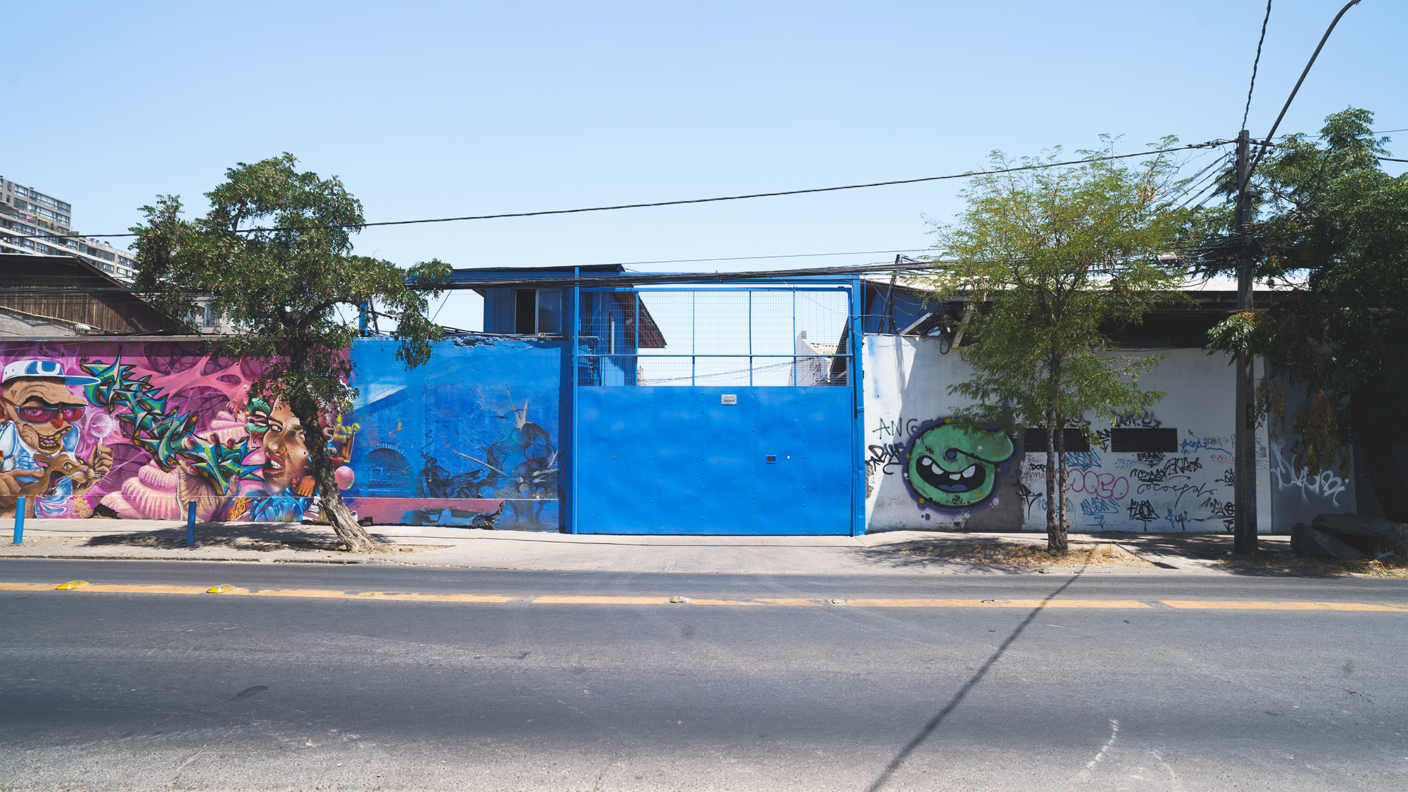 bodega